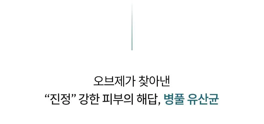 [저자극 바디로션] 오브제 맥스 올인원 로션 500ml 상세페이지 25